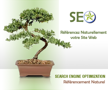 Contenu Optimisé SEO